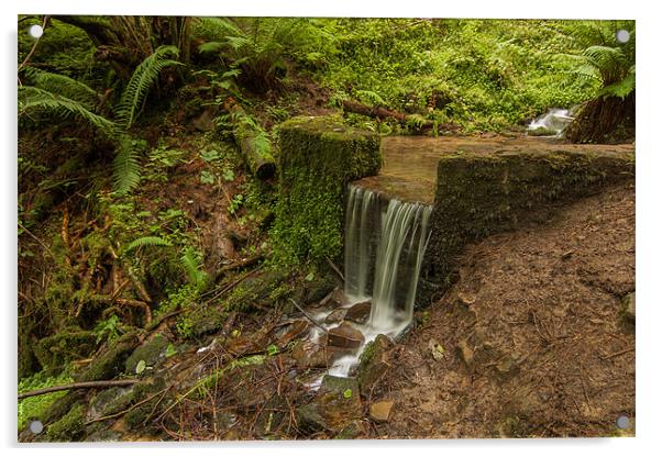 Parkin Clough Waterfall Acrylic by Jonathan Swetnam