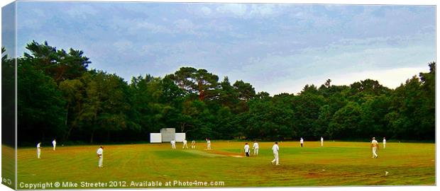 Village Cricket Canvas Print by Mike Streeter