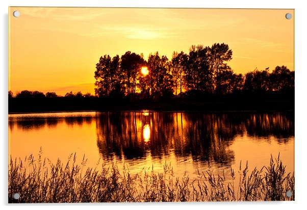 Sunset Lake Acrylic by John Ellis