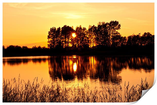 Sunset Lake Print by John Ellis