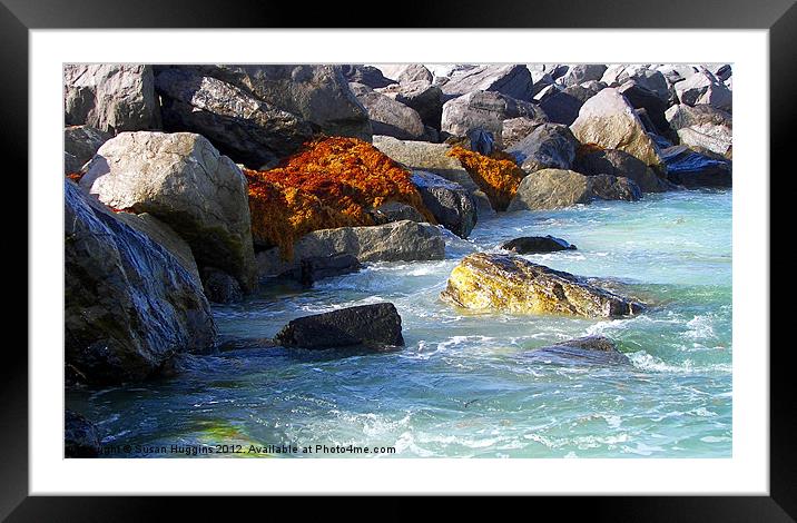 Debris on the Jetty Framed Mounted Print by Susan Medeiros