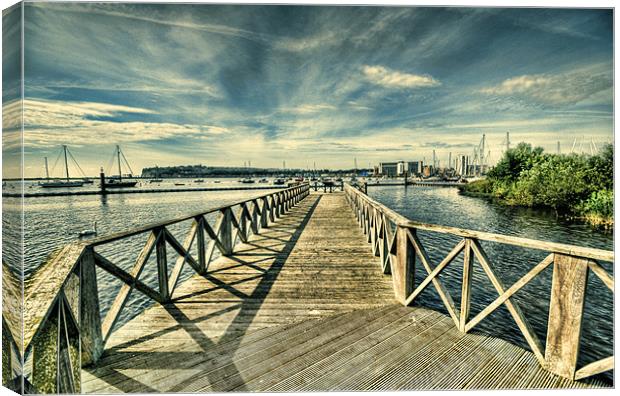 Cardiff Bay Wetlands Lomo Canvas Print by Steve Purnell