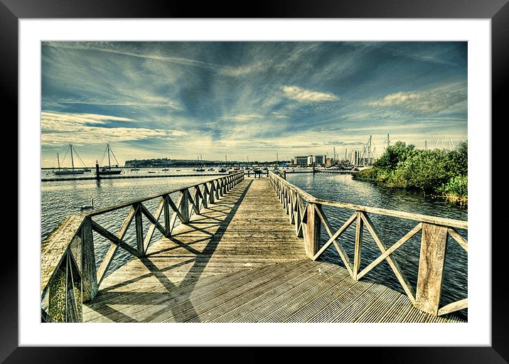 Cardiff Bay Wetlands Lomo Framed Mounted Print by Steve Purnell