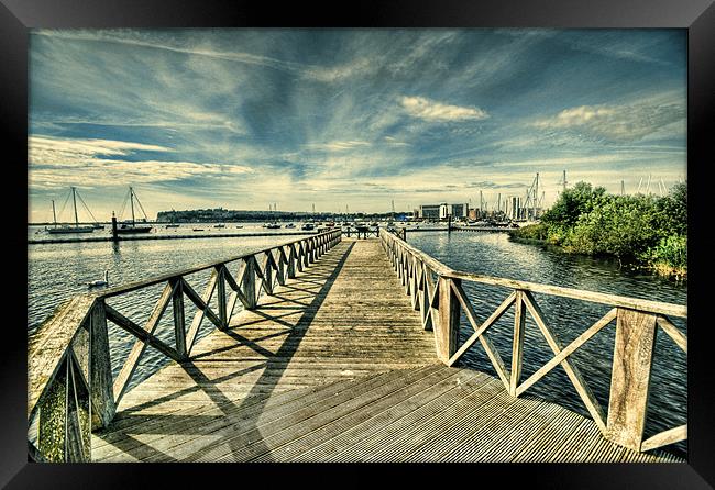 Cardiff Bay Wetlands Lomo Framed Print by Steve Purnell