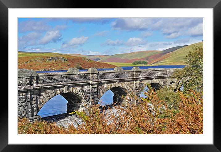 Elan Valley Reservoir Framed Mounted Print by Diana Mower