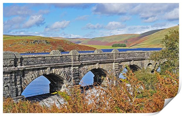 Elan Valley Reservoir Print by Diana Mower