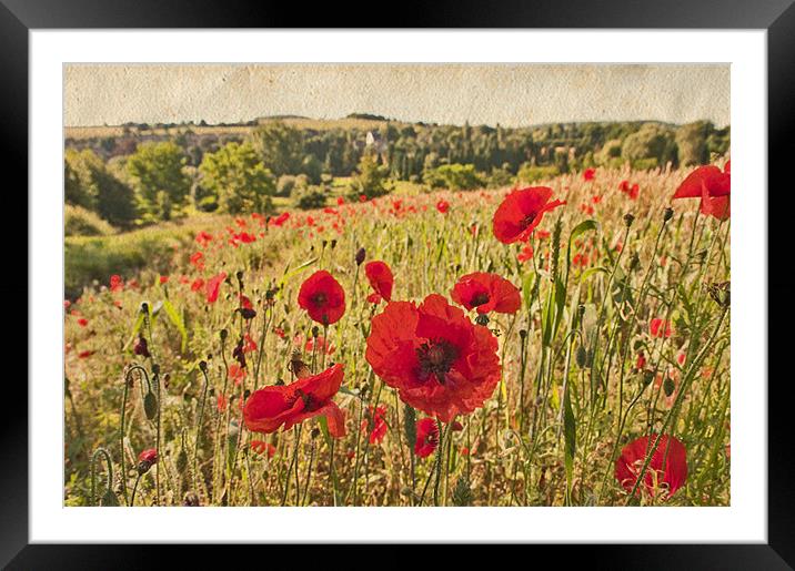 Poppy field Near Eynsford, Kent Framed Mounted Print by Dawn Cox