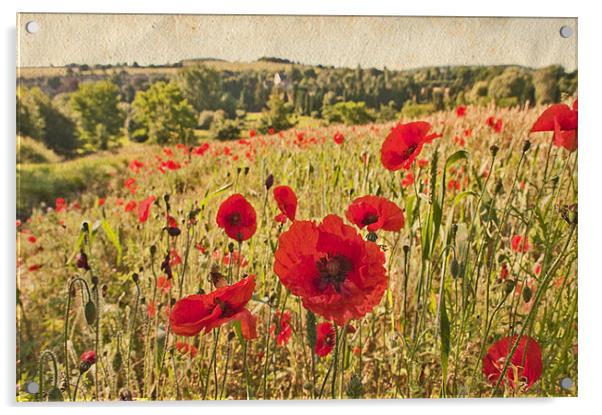 Poppy field Near Eynsford, Kent Acrylic by Dawn Cox