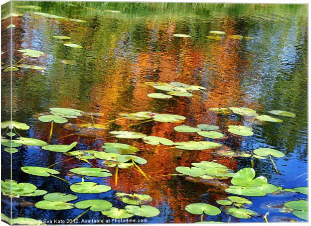 Lily pads with reflections Canvas Print by Eva Kato