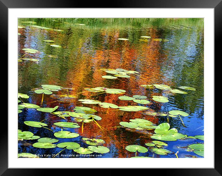 Lily pads with reflections Framed Mounted Print by Eva Kato