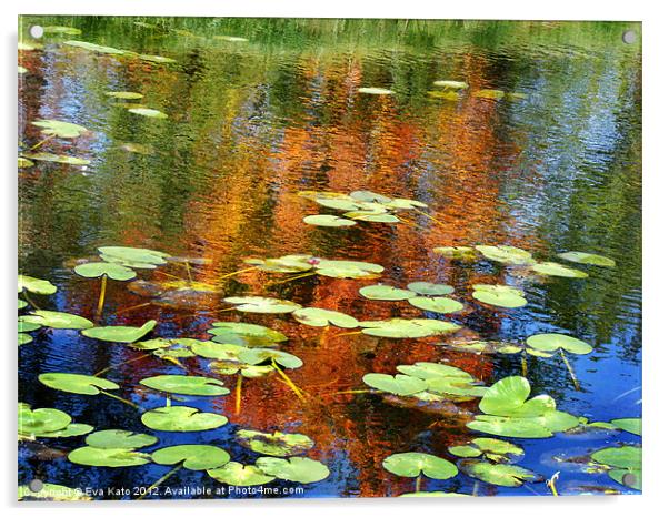 Lily pads with reflections Acrylic by Eva Kato