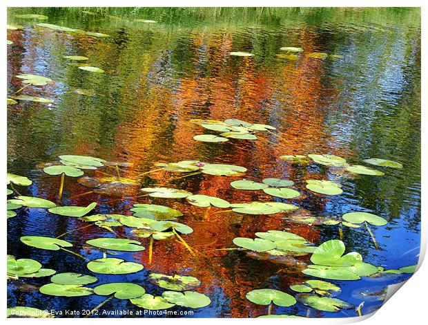 Lily pads with reflections Print by Eva Kato