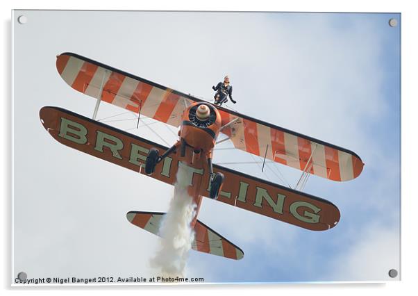 Breitling Wingwalker Acrylic by Nigel Bangert