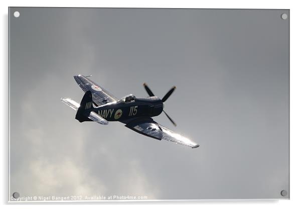 Hawker Sea Fury Acrylic by Nigel Bangert