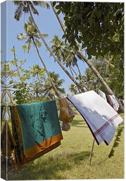Clothes washing line in Kerala Jungle Canvas Print by Arfabita  