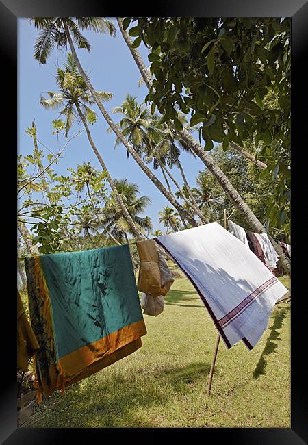 Clothes washing line in Kerala Jungle Framed Print by Arfabita  
