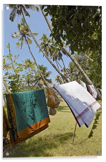 Clothes washing line in Kerala Jungle Acrylic by Arfabita  