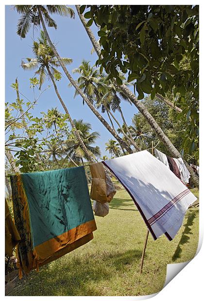 Clothes washing line in Kerala Jungle Print by Arfabita  
