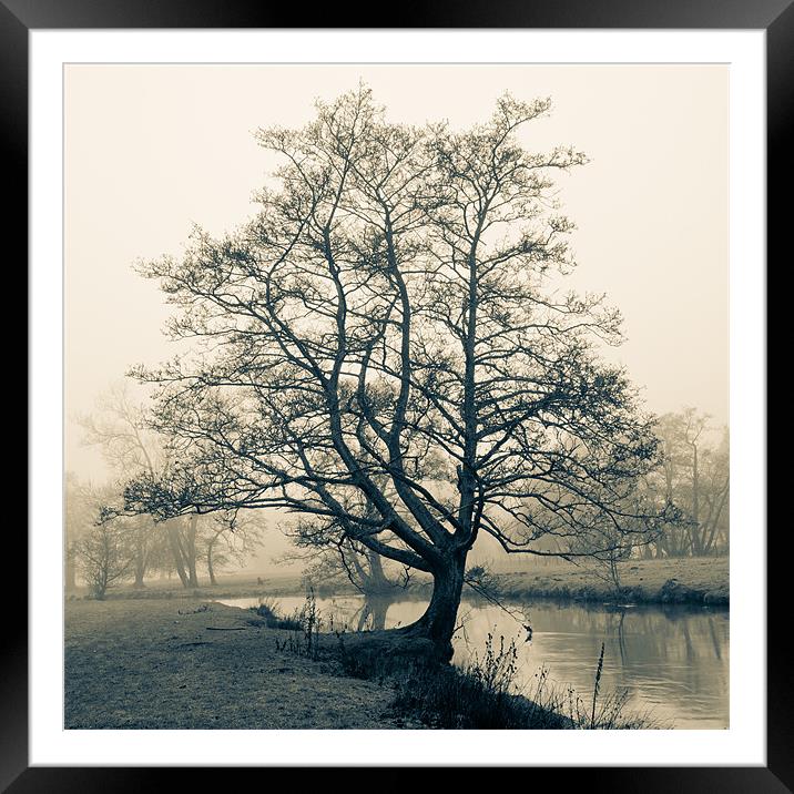 Bakewell tree Framed Mounted Print by Richard Evans