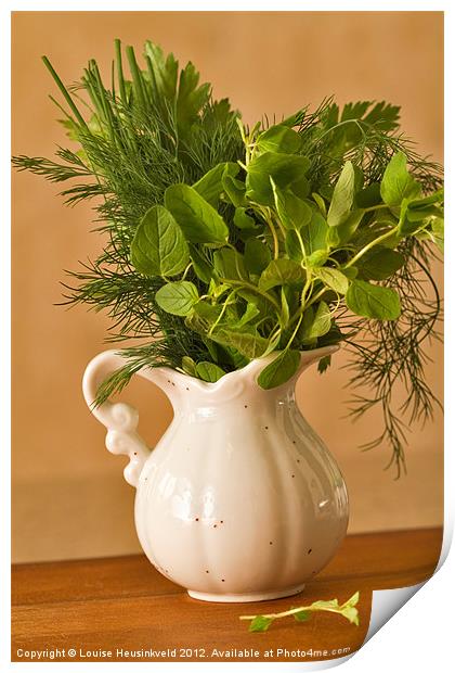 A bunch of fresh herbs Print by Louise Heusinkveld
