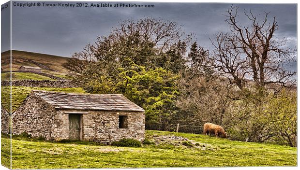 In The Yorkshire Dales Canvas Print by Trevor Kersley RIP