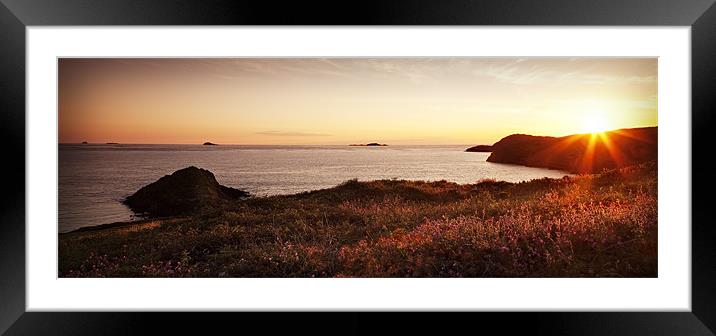 SUNSET AND RED CAMPION Framed Mounted Print by Anthony R Dudley (LRPS)