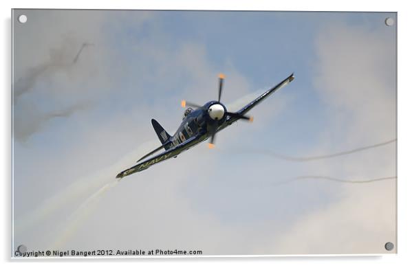 Hawker Sea Fury Acrylic by Nigel Bangert