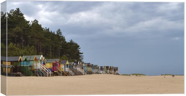 Beach Huts on Wells-next-the-Sea in North Norfolk Canvas Print by Mike Gorton