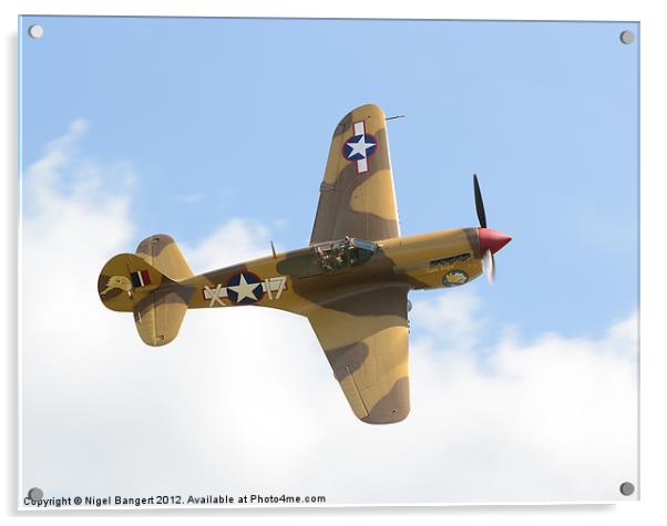 Curtis P-40 Warhawk Acrylic by Nigel Bangert