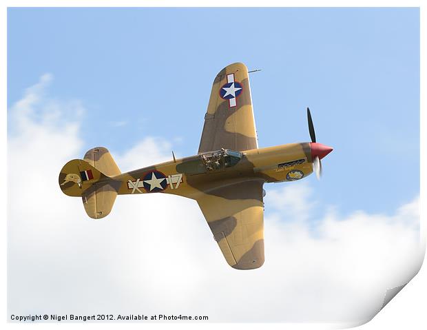 Curtis P-40 Warhawk Print by Nigel Bangert