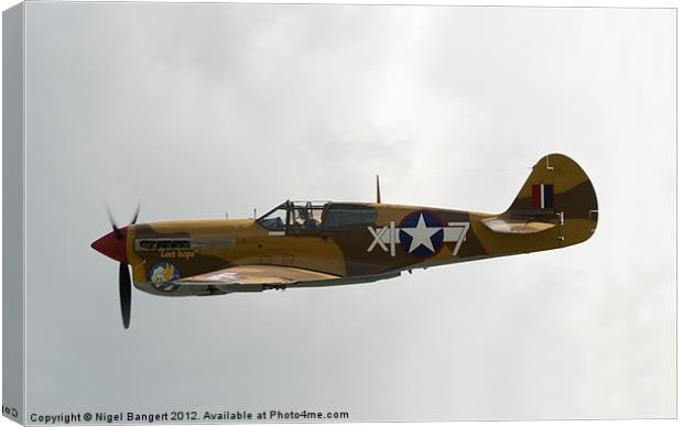 Curtis P-40 Warhawk Canvas Print by Nigel Bangert