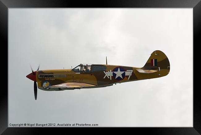 Curtis P-40 Warhawk Framed Print by Nigel Bangert