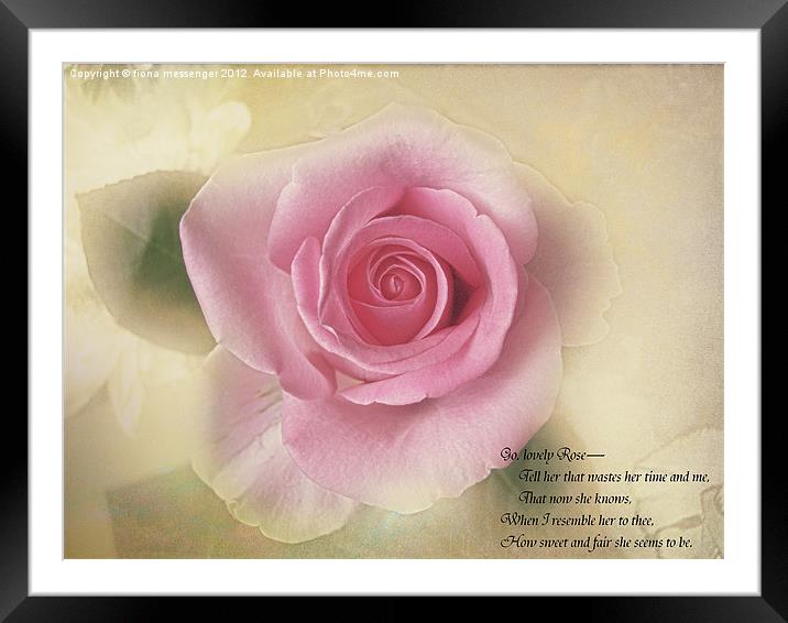 Go lovely Rose Framed Mounted Print by Fiona Messenger