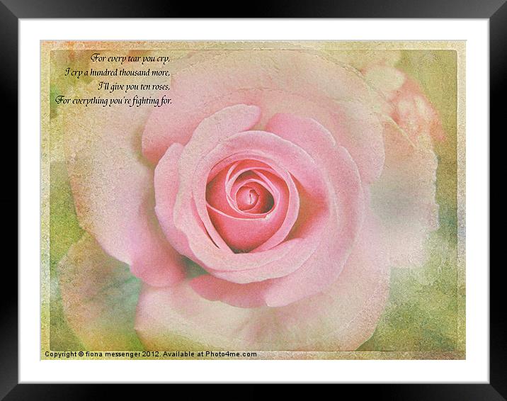 Ten Roses Framed Mounted Print by Fiona Messenger