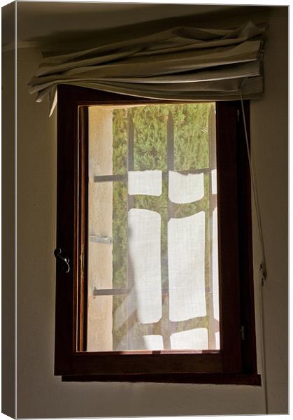 Window Shadow Patterns Canvas Print by Jacqi Elmslie