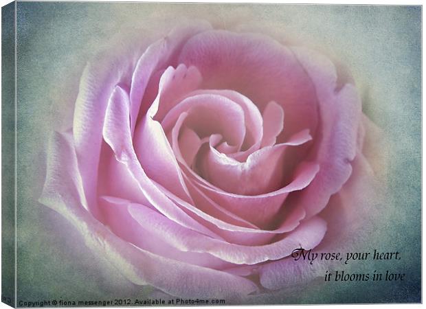 A Rose in the heart of rose Canvas Print by Fiona Messenger