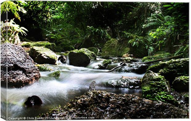 water stream new zealand Canvas Print by Chris Barker