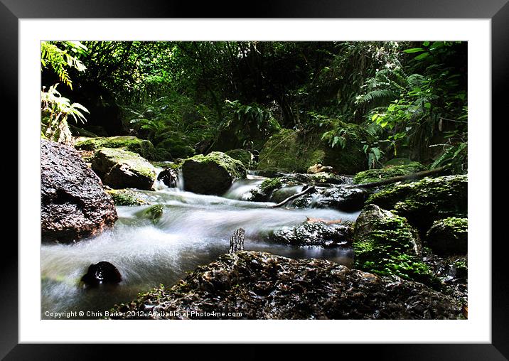 water stream new zealand Framed Mounted Print by Chris Barker