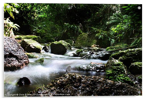 water stream new zealand Acrylic by Chris Barker