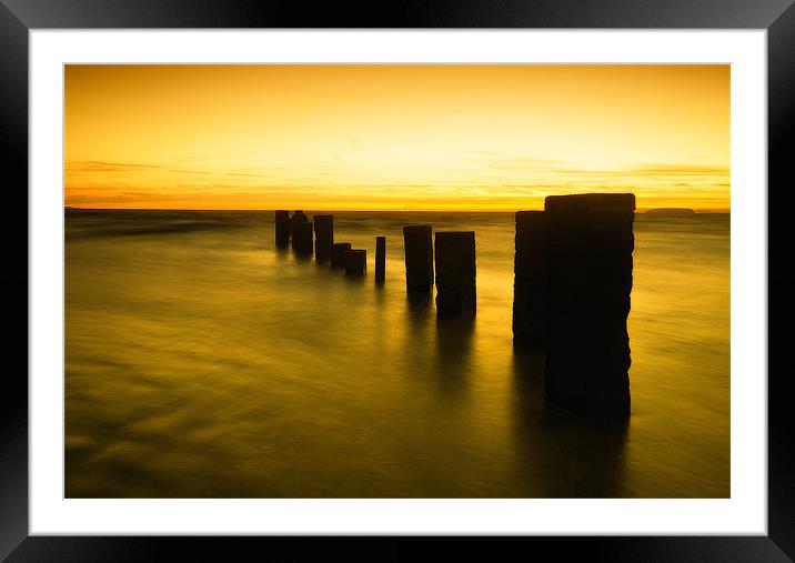 Summers golden light. Framed Mounted Print by paul cowles