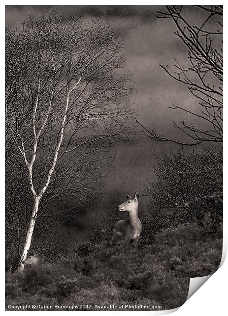 Dunwich Heath Deer Print by Darren Burroughs