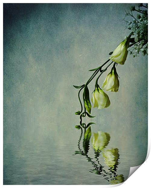 Lisianthus on Blue Print by Debra Kelday