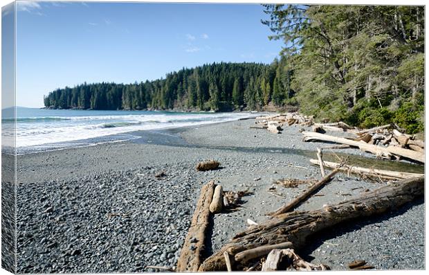 CHINA WIDE china beach juan de fuca provincial park vancouver island BC canada Canvas Print by Andy Smy
