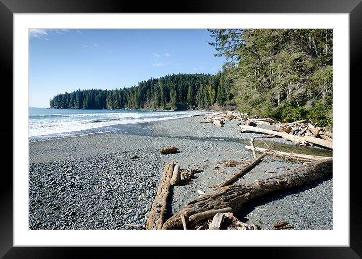 CHINA WIDE china beach juan de fuca provincial park vancouver island BC canada Framed Mounted Print by Andy Smy