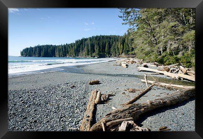 CHINA WIDE china beach juan de fuca provincial park vancouver island BC canada Framed Print by Andy Smy
