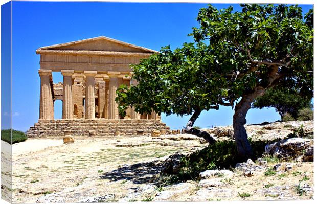 Temple of Concordia, Agrigento Canvas Print by Lucy Antony