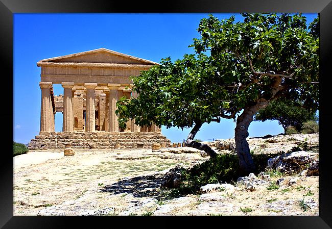 Temple of Concordia, Agrigento Framed Print by Lucy Antony