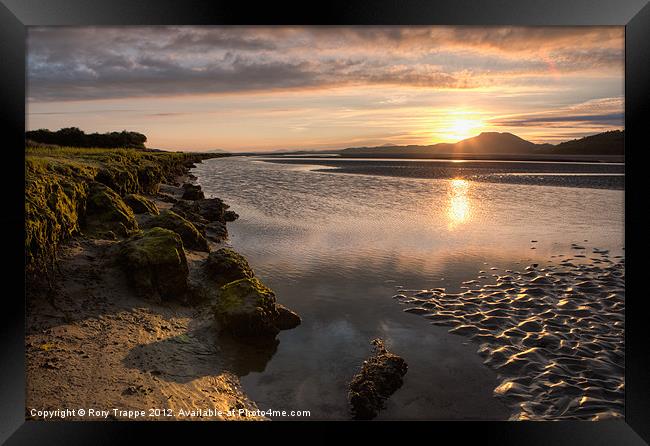 Ynys Framed Print by Rory Trappe