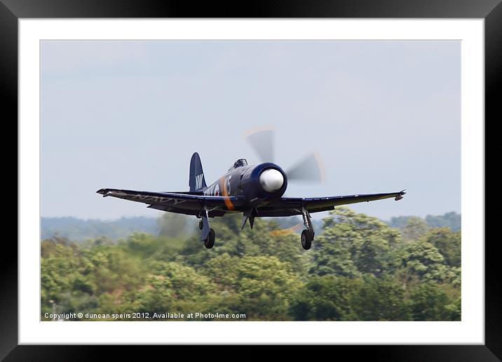 Hawker sea fury Framed Mounted Print by duncan speirs