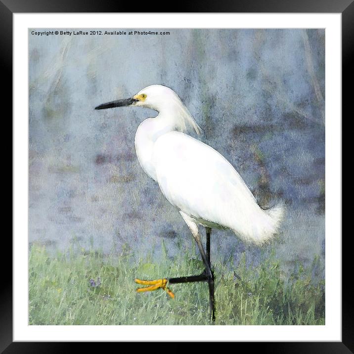 High Stepping Framed Mounted Print by Betty LaRue